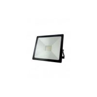PROIECTOR BC 30W LED 4200K IP65 008 0000397 Baterie Centrum