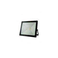 PROIECTOR BC 20W LED 4200K IP65 008 0000396 Baterie Centrum