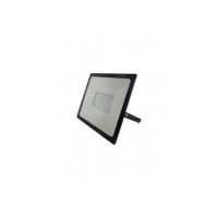 PROIECTOR BC 100W LED 4200K 008 0000237 Baterie Centrum