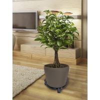 SUPORT FLORI PE ROTI ART DECO 0.32M 190085 Nortene