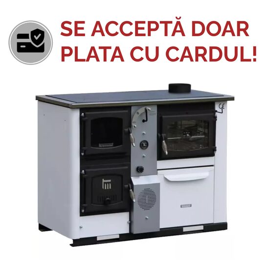 SOBA TIP CENTRALA TEMY PLUS P 25KW GRI DR