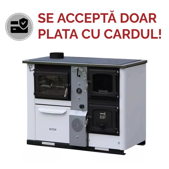 SOBA TIP CENTRALA TEMY PLUS P 25KW GRI STG
