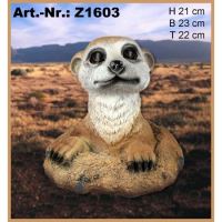POLY MARMOTA 21X23X22 Z1603