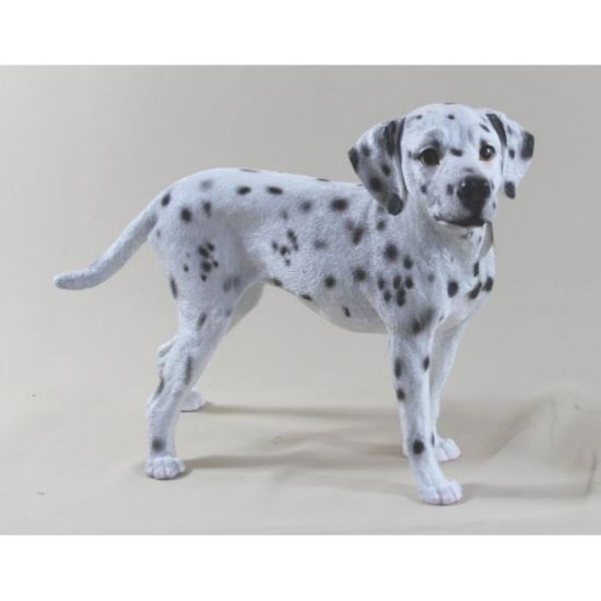 POLY DALMATIAN 33X41X29 Z3336
