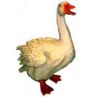 POLY GASCA 45CM Z865