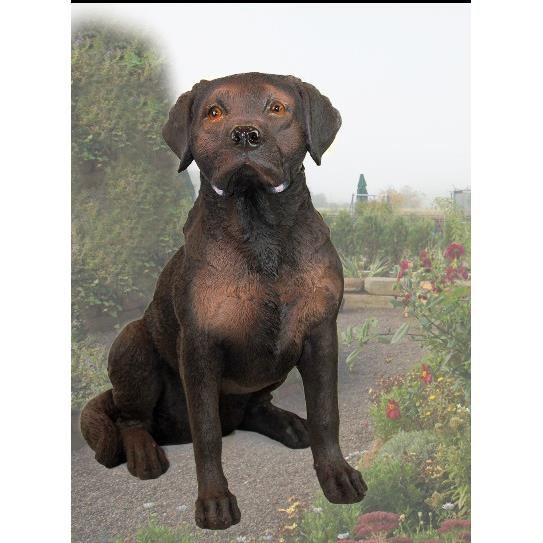 POLY LABRADOR 53CM Z2484