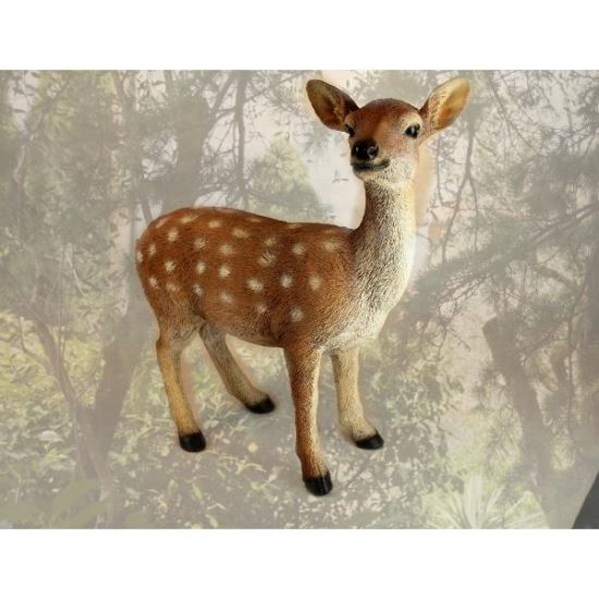 POLY CAPRIOARA 53X45 Z2173