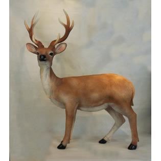 POLY CERB 100X70X20 Z2292