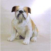 POLY BULLDOG 37X50X27 Z2287