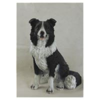 POLY CAINE COLLIE 53X30X40 Z870