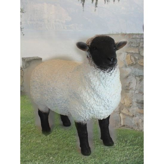 POLY OAIE 63CM Z2298