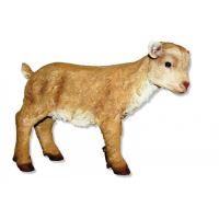 POLY CAPRITA 44X46 3904