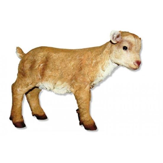 POLY CAPRITA 44X46 3904