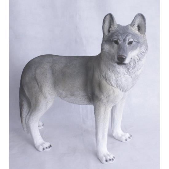 POLY LUP ASEZAT 57X62X21 Z2884