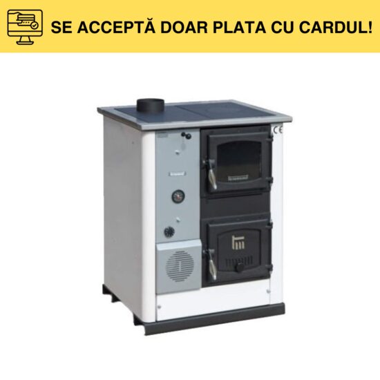 SOBA TIP CENTRALA TEMY PLUS 30KW ALB STG