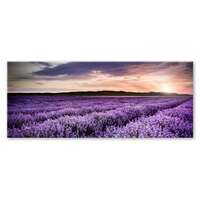 GLASSPIK 50X125 EX372 LAVENDER GL-00767