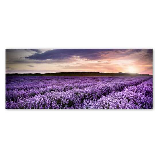 GLASSPIK 50X125 EX372 LAVENDER GL-00767