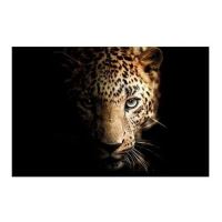 GLASSPIK 70X100 GL246 LEOPARD GL-00777