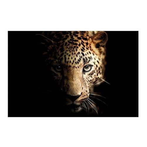 GLASSPIK 70X100 GL246 LEOPARD GL-00777