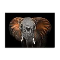 GLASSPIK 70X100 GL249 ELEPHANT GL-00748
