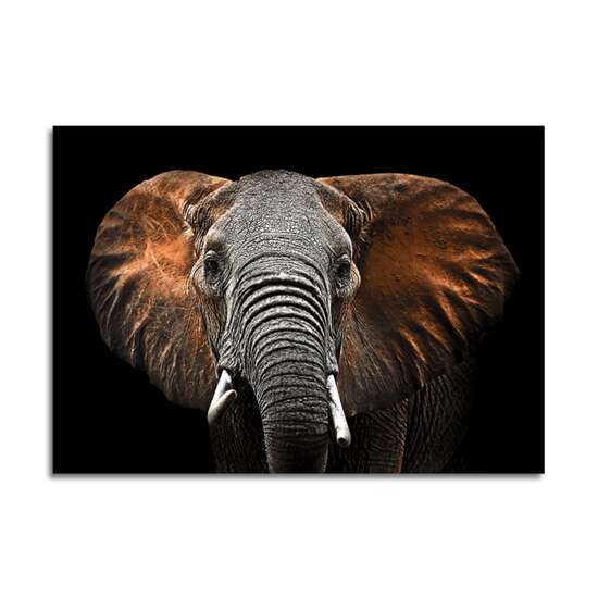 GLASSPIK 70X100 GL249 ELEPHANT GL-00748