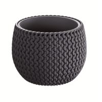 GHIVECI SPLOFY DKSP180-S433