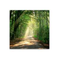 GLASSPIK 30X30 EX365 ROAD GL-00764