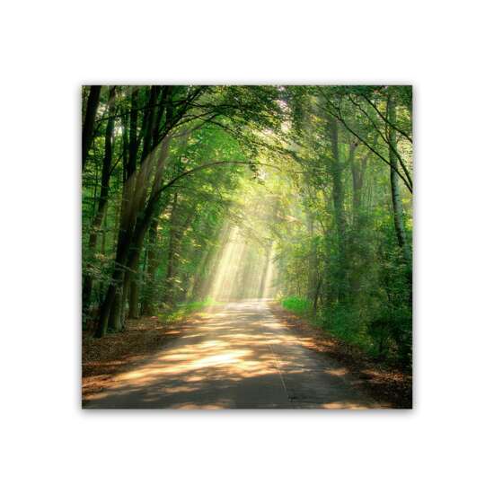 GLASSPIK 30X30 EX365 ROAD GL-00764