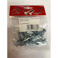 SURUB CAP BOMBAT TORBANT 5X40 DIN603 20B 0504040605KM