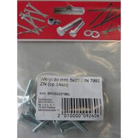 SURUB CAP INECAT 5X25 INBUS DIN7991 14B BR050257991