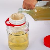 FILTRU VIN BORCAN 1.2L 810600 Browin