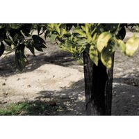 PLASA PROTECTIE POMI 11X80 NG 122005