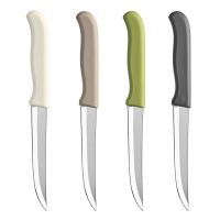 CUTIT 21CM DENIS HNK8506000