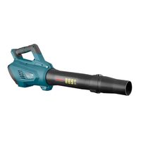 SUFLANTA FRUNZE 20V 8922