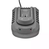INCARCATOR 20V FAST CHARGE 4.5A 8993