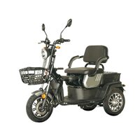 TRICICLU PERS.1600W 60V R5RKMG018RX002034 YB1600DQZ  BFT1600DQZ D3-11