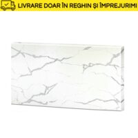 BLAT BUC.CUART 3200 X 800 X 20MM CN7011