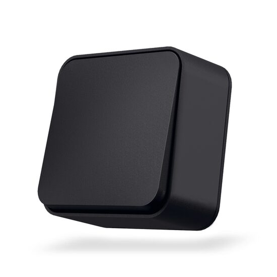 INTRERUPATOR PT BINERA NG VF-BNS11-BG