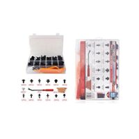 CLIPS PL.13P 2001068