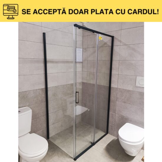 CAB.DUS ST.6MM YZ102+YZ103 100X80X195 mic