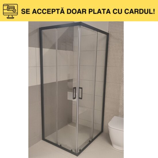 CAB.DUS ST.6MM MLS105 100X80X195 dreptunghi