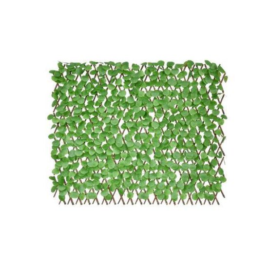 PANOU EXTENS.EUCALYPT 90X180cm CCGP236-25-90X180CM-Z