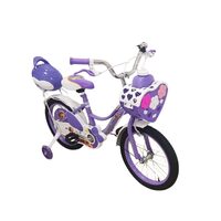 BICICLETA QGZ 20IN HOT PINK/PURPLE