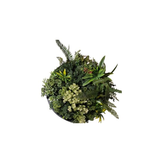 RAMA DECO RHEA B FY50 CCGK004BV025-Z