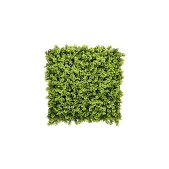 PANOU DECO MOSS MUSCHI 50X50cm CCGA201M-50X50CM-Z