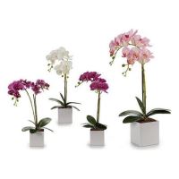 DECO ORHIDEE REC.51CM 55250