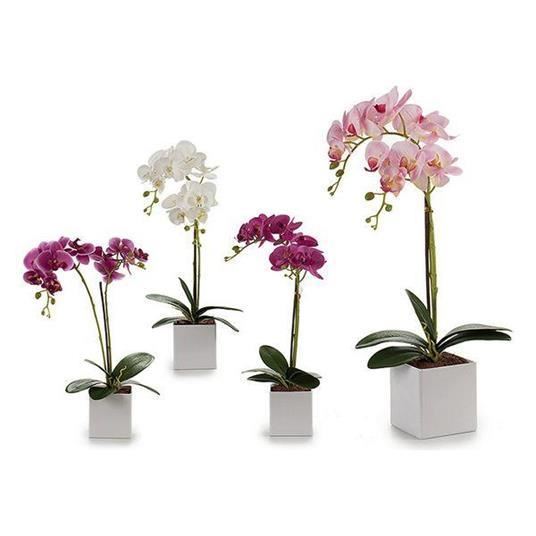 DECO ORHIDEE REC.51CM 55250