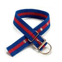 CUREA PET BIG MIX 27783