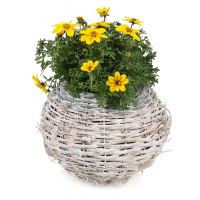 COS FLORI ROTUND 20X20X16 GD22833