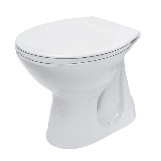 WC MONOBLOC FAMILY F20 VERT